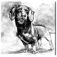 Wynwood Studio životinje zidne umjetničke platnene platnene pse i psići jazavca - crni, bijeli