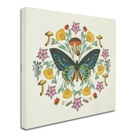 Zaštitni znak likovna umjetnost 'Leptir Mandala IV' platno umjetnost od portfelja Wild Apple