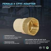 Opskrba diva BRCPF200-NL 2 Free adapter za ugradnju s mesinganom ženkom i CPVC Connect