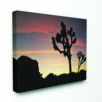 Stupell Industries Desert Tree Sunset Silhouette Photo Canvas Wall Art by Joseph Elliott, 30 40