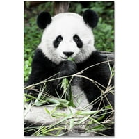 Zaštitni znak likovna umjetnost Giant Panda Canvas Art by Philippe Hugonnard