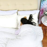 Jedinstvene ponude svilenkasti satenski jastuci za jastuke pokrivaju set bijelih putovanja