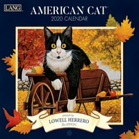 Američka mačka: zidni kalendar