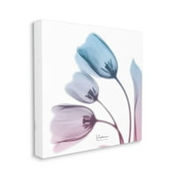 Stupell Industries neprozirna silupada tulipana plava ružičasta fotografija dizajna Alberta Koetsiera, 36 36