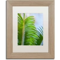 Zaštitni znak palmina grana platno, ulje Ariane moshaiedi, mat bijela, okvir od breze