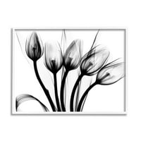Stupell Industries Moderni cvjetanje tulipana Sažetak jednobojne siluete fotografije 24, dizajn Alberta Koetsier