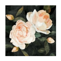 Emma Caroline 'Soft Garden Roses II' platno umjetnost