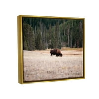 Stupell bizon ispaša seoska zemlja pejzažni životinje i insekti fotografija zlatni plutač uokviren umjetnički print zid umjetnost