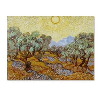 Zaštitni znak likovna umjetnost 'Olive stabla 1889' Canvas Art by Vincent van Gogh