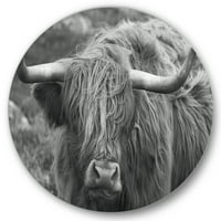 DesignArt 'Zablista škotske krave na močvarnom dijelu I' Farmhouse Circle Metal Art - Disk od 23 godine
