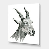 DesignArt 'Crno -bijeli portret koza I' Farmhouse Canvas Wall Art Print