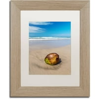 Zaštitni znak likovna umjetnost 'plaćena kokosova orašast' platno umjetnost Pierre Leclerc, bijela mat, okvir breze
