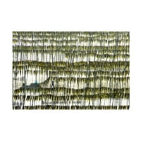 Umjetnost na platnu Shinhua Zhou berba algi