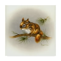 Zaštitni znak likovna umjetnost 'Rockabye Baby Squirrel' platno umjetnost Peggy Harris